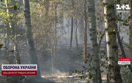 Масштабні лісові пожежі на Київщині: яка там ситуація і чи покращилось повітря у столиці